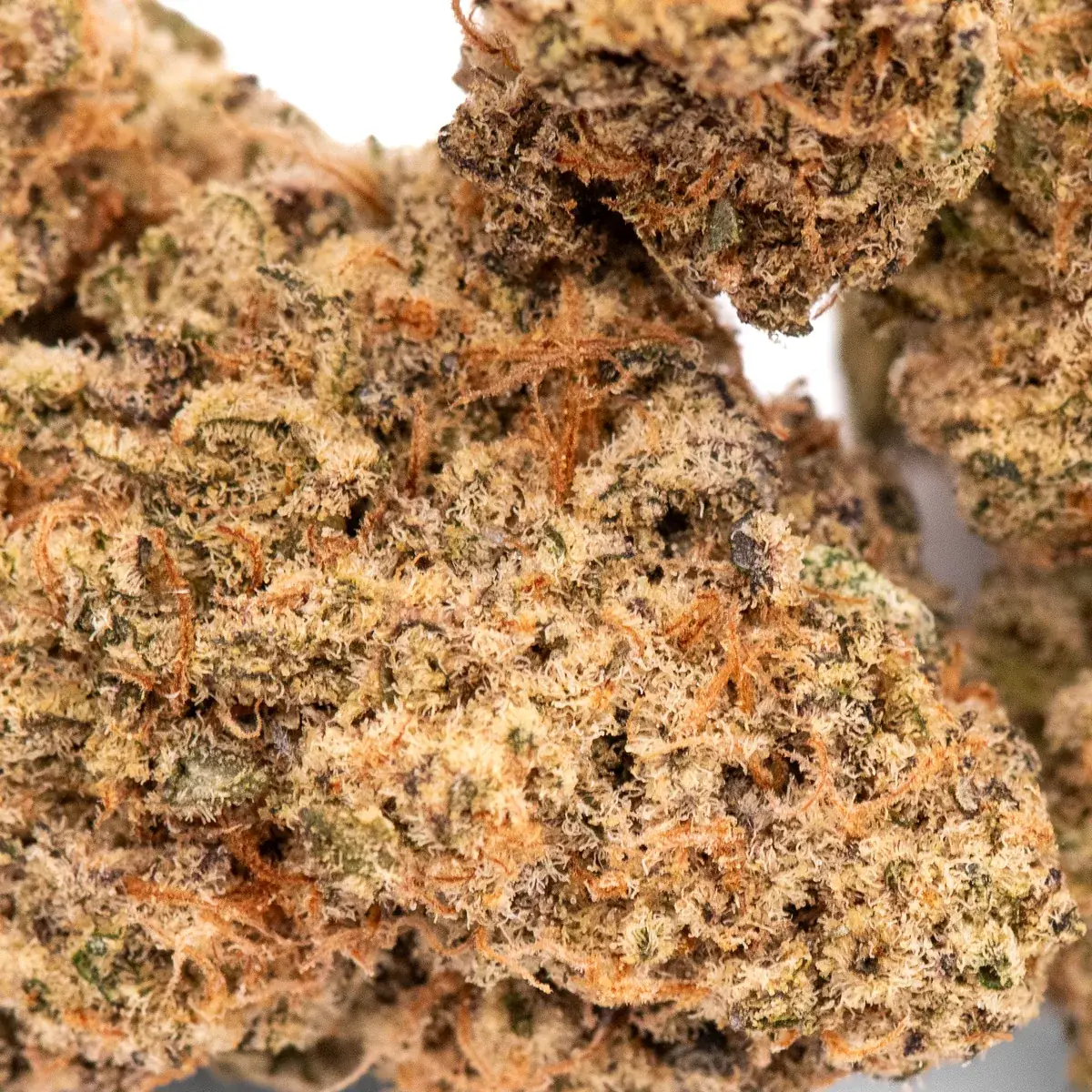 Peanut Butter MAC - Starbuds Halifax - shrooms halifax