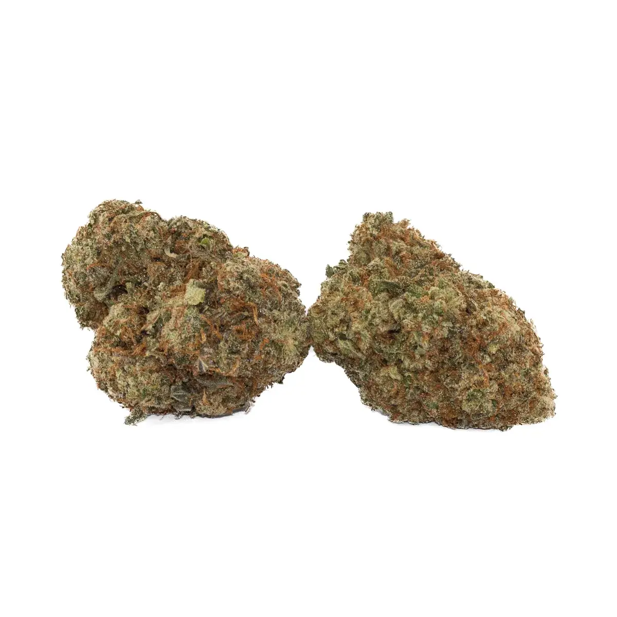 Pre 98 Bubba