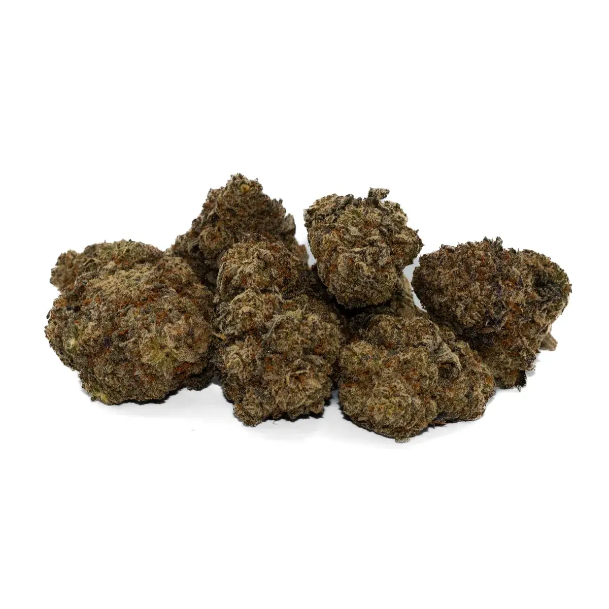 Purple Gas - Starbuds Halifax - shrooms halifax