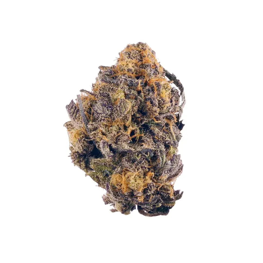 Purple Punch