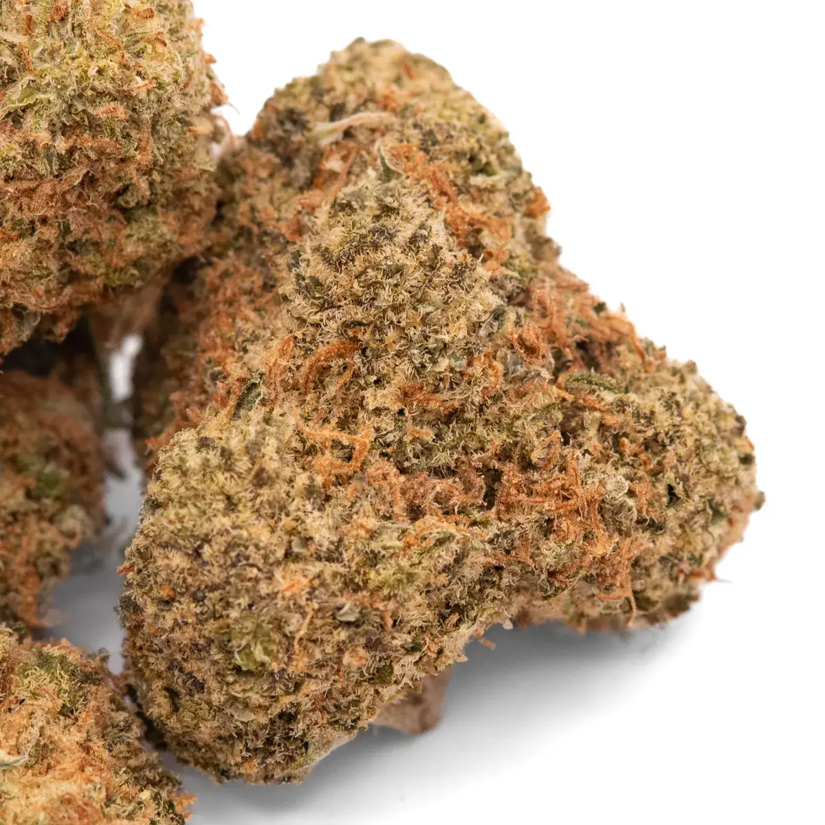 Sour Tangie - Starbuds Halifax - shrooms halifax