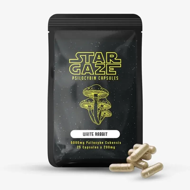 Star Gaze Psilocybin Capsules - Starbuds Halifax - shrooms halifax