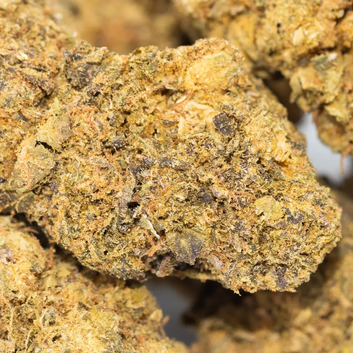 Sunset Soda - Starbuds Halifax - shrooms halifax