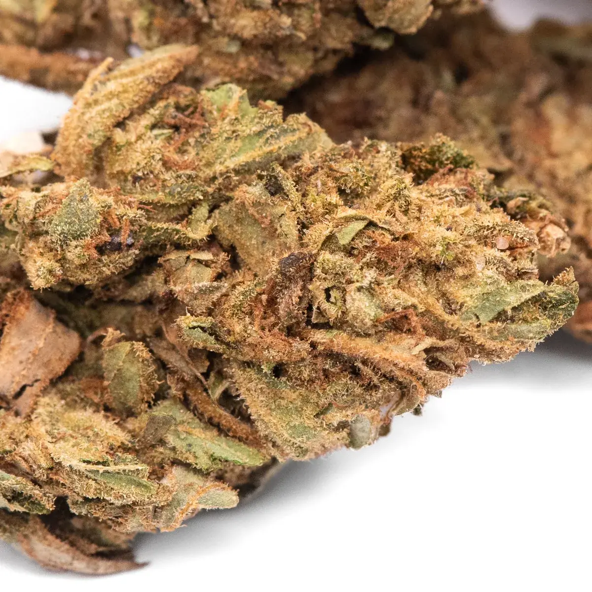 Super Mario - Starbuds Halifax - shrooms halifax