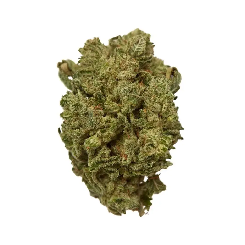 White Wedding - Starbuds Halifax - shrooms halifax