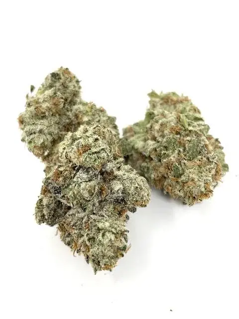 Frosted Melon Gelato