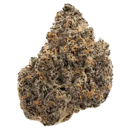 Blue Caviar - Starbuds Halifax - shrooms halifax