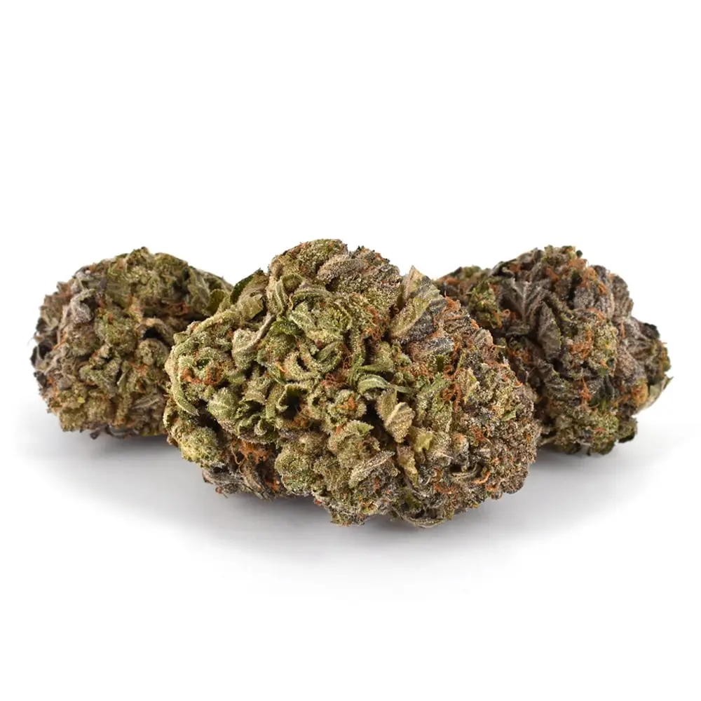 Purple Urkle