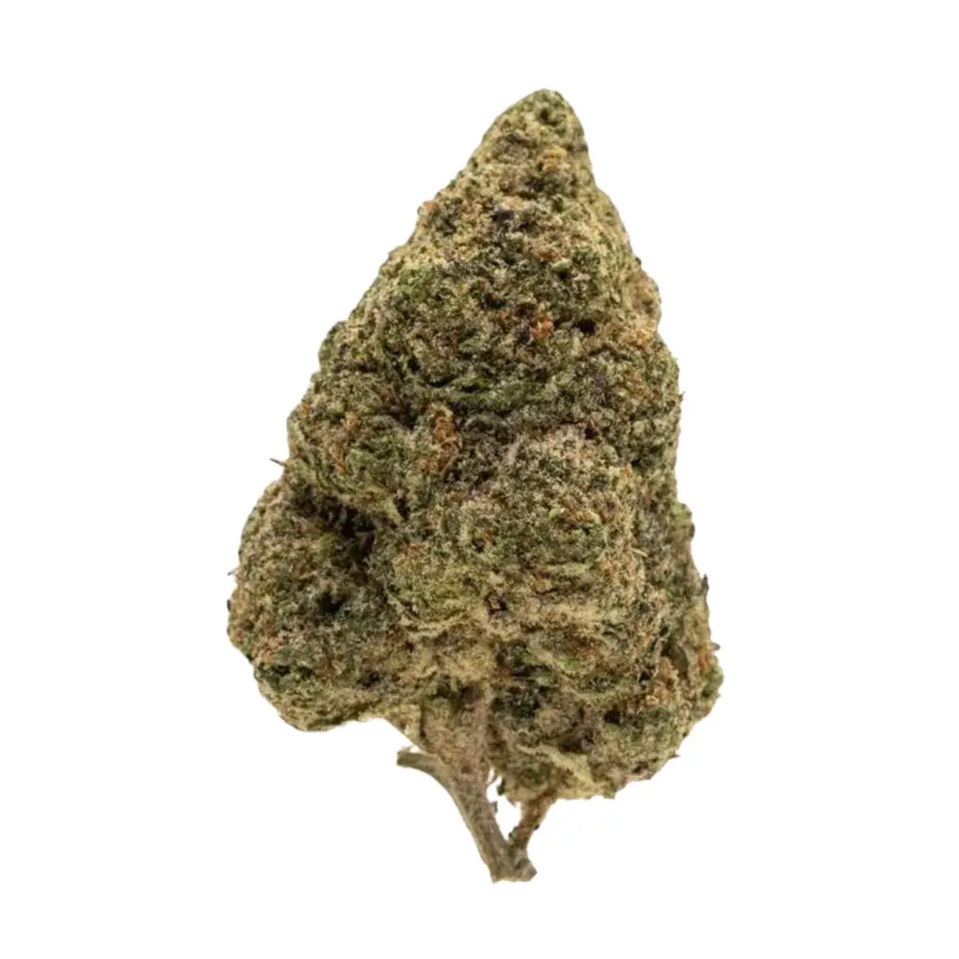 Zoap - Starbuds Halifax - shrooms halifax