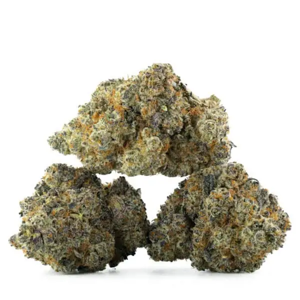 Berry Dream - Starbuds Halifax - shrooms halifax