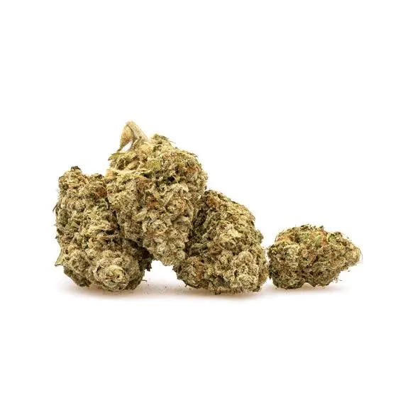 Cookies Gary Payton - Starbuds Halifax - shrooms halifax
