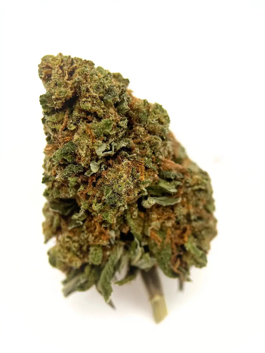 Purple Kryptonite - Starbuds Halifax - shrooms halifax