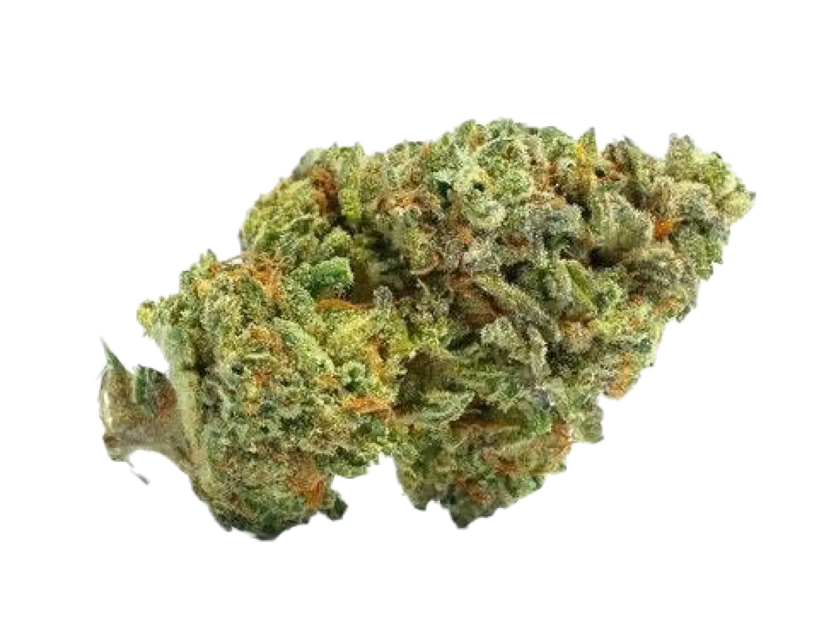 Rainbow Belts - Starbuds Halifax - shrooms halifax