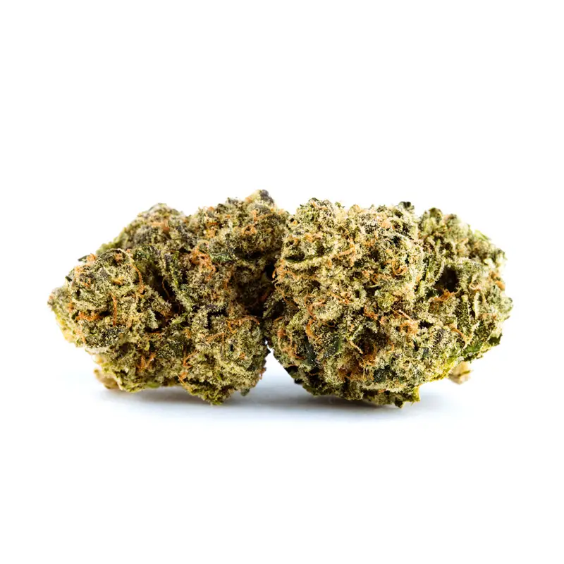 Cake Breath - Starbuds Halifax - shrooms halifax