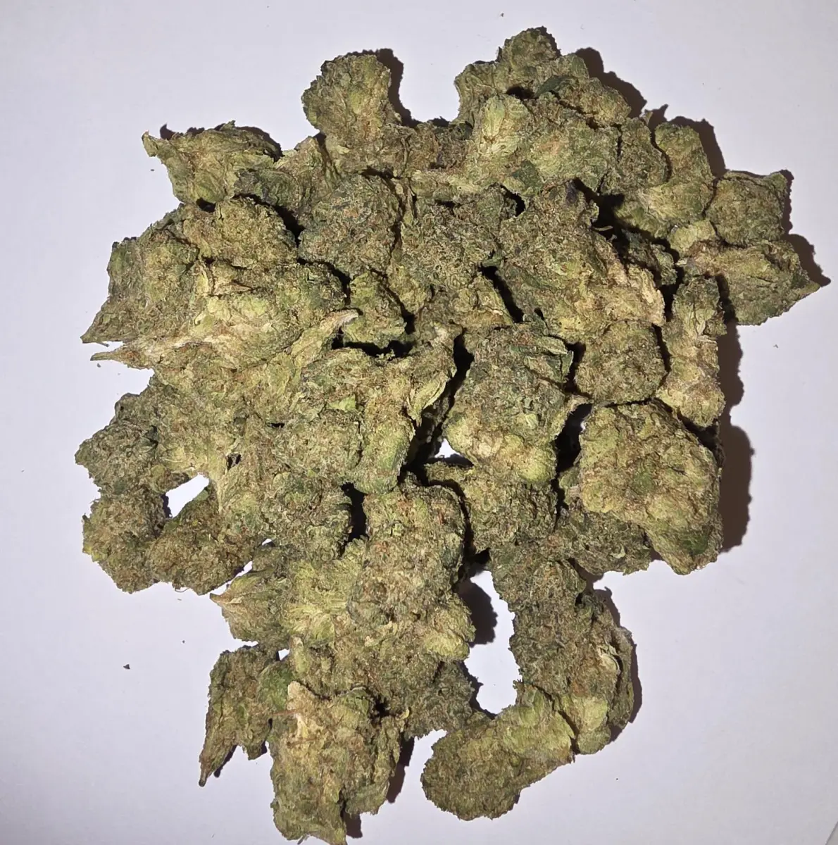Sourdough Kush - Starbuds Halifax - shrooms halifax