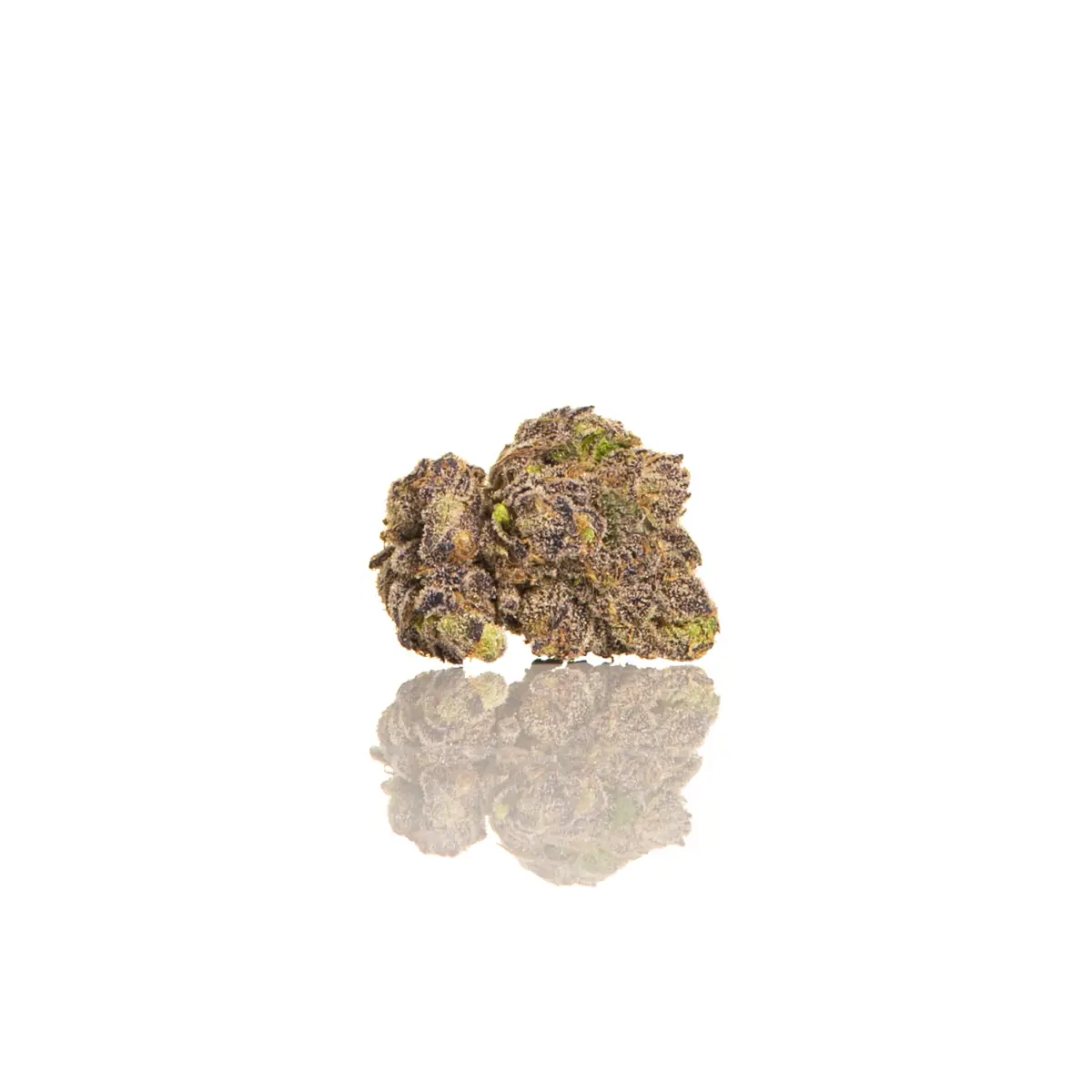 Sourdough Kush - Starbuds Halifax - shrooms halifax