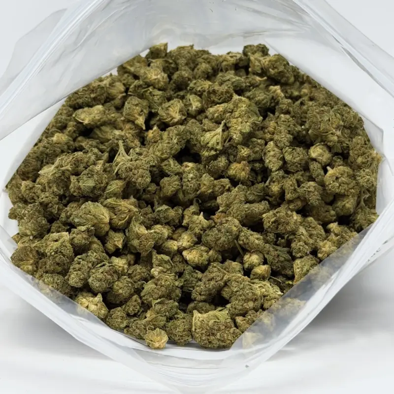 Blood Diamond OG - Starbuds Halifax - shrooms halifax