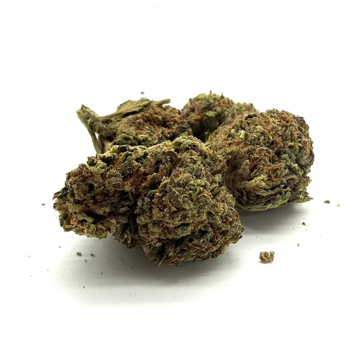 Creme Rose - Starbuds Halifax - shrooms halifax