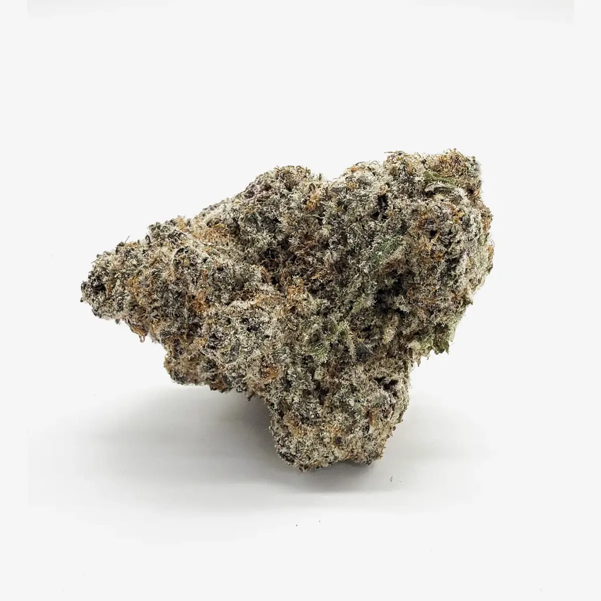 Oreo Mintz - Starbuds Halifax - shrooms halifax