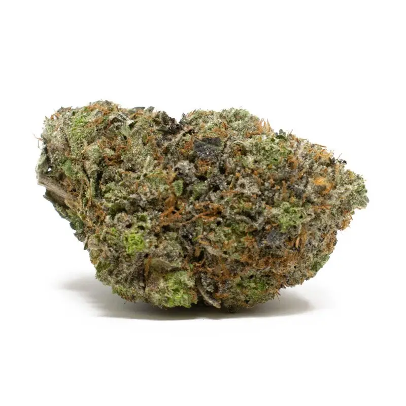 Fruitopia - Starbuds Halifax - shrooms halifax