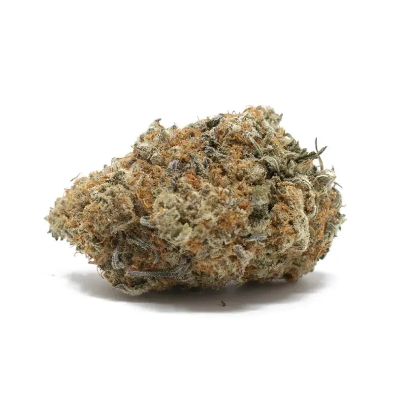 Glookie Bomb - Starbuds Halifax - shrooms halifax