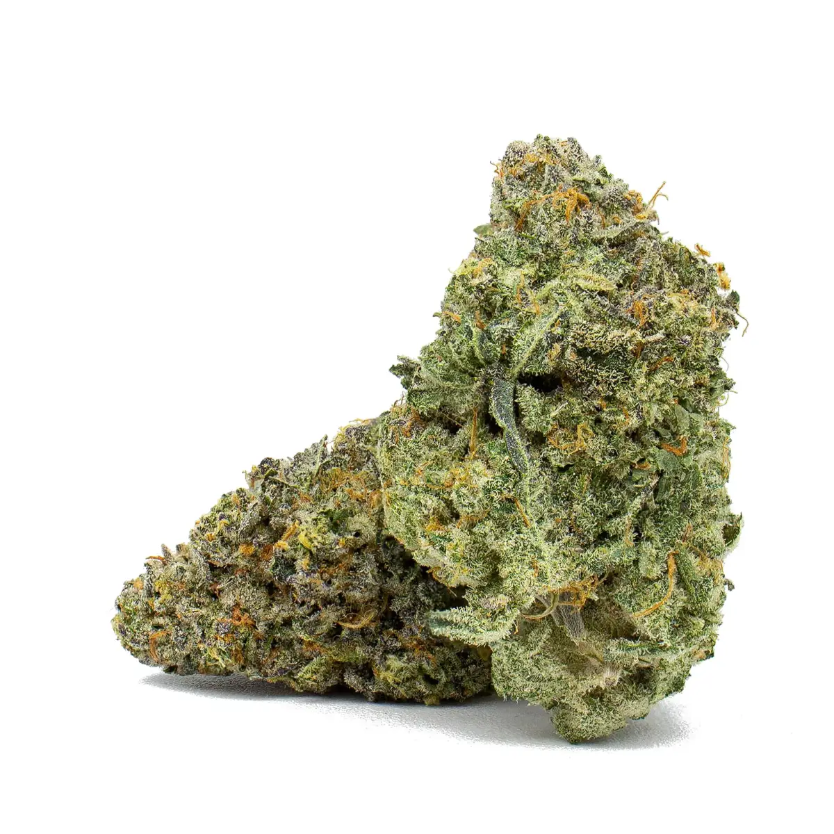 Glitterati - Starbuds Halifax - shrooms halifax