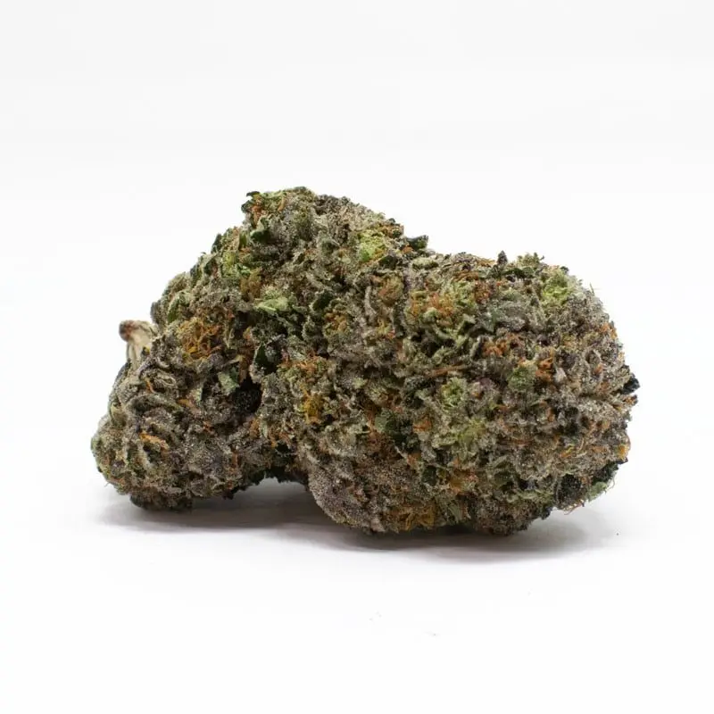 Death Scout - Starbuds Halifax - shrooms halifax