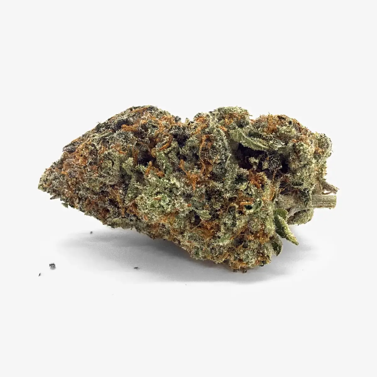 Red Velvet - Starbuds Halifax - shrooms halifax