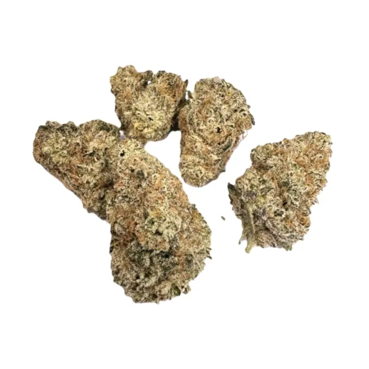 Grey Goose - Starbuds Halifax - shrooms halifax