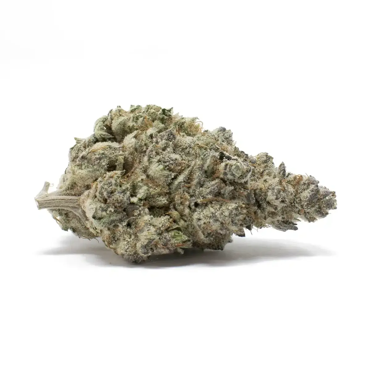 Strawberry Gary AAAA - Starbuds Halifax - shrooms halifax