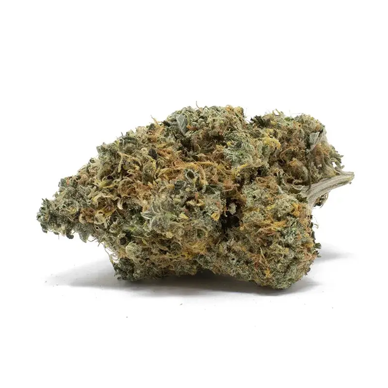 Orange Cream Soda Smalls - Starbuds Halifax - shrooms halifax