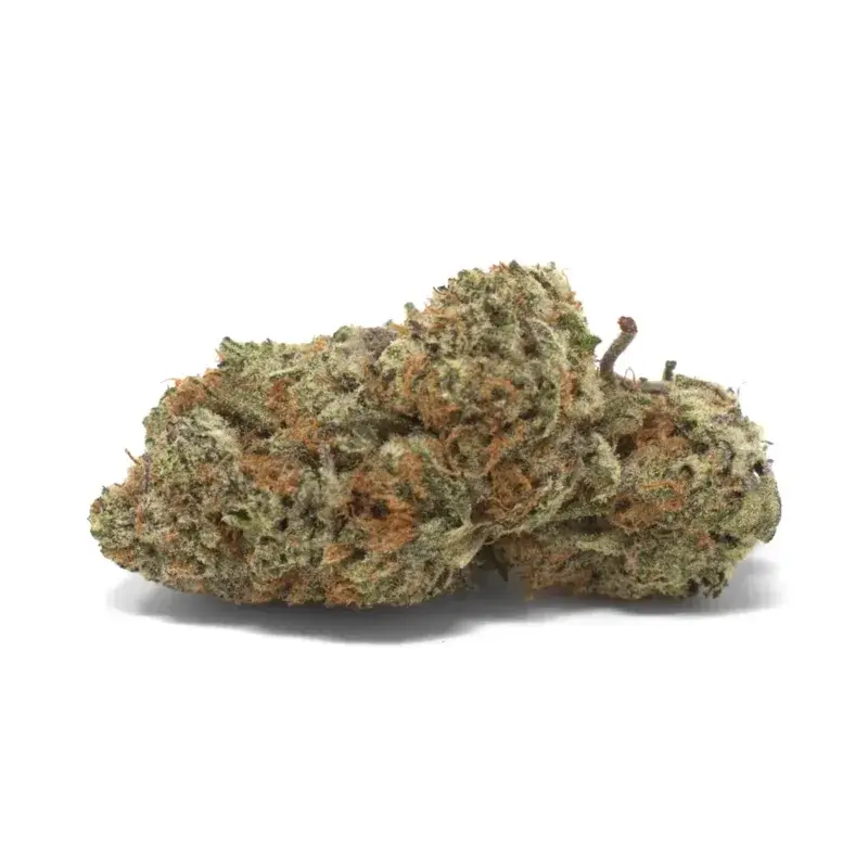 Cosmic Cookies - Starbuds Halifax - shrooms halifax