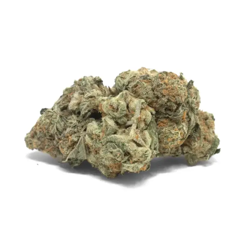 Mac 1 - Starbuds Halifax - shrooms halifax