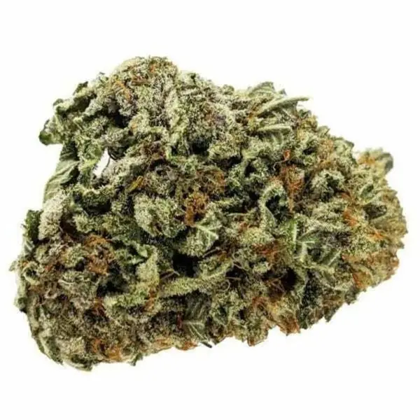 HFX Heavy Gas - Starbuds Halifax - shrooms halifax