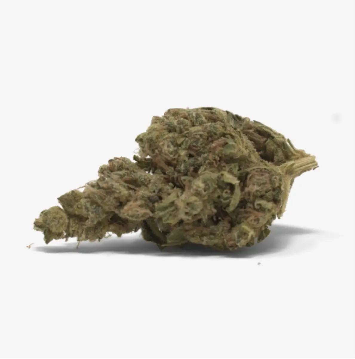 Purple Skywalker - Starbuds Halifax - shrooms halifax