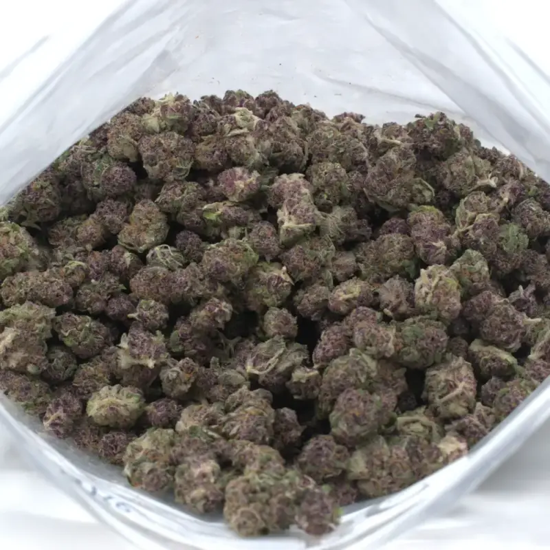 Candy Cake - Starbuds Halifax - shrooms halifax