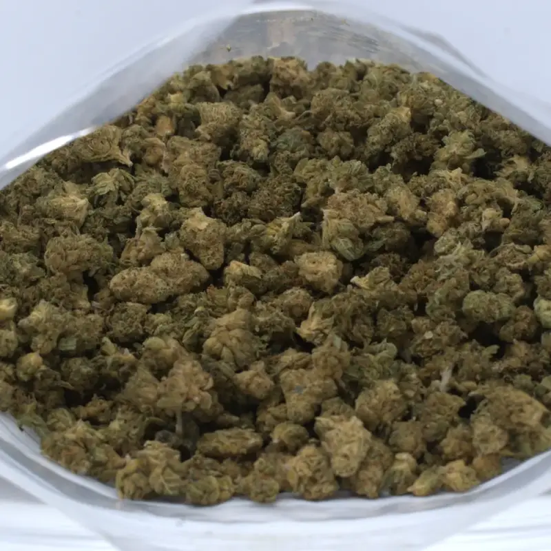 Jelly Bean - Starbuds Halifax - shrooms halifax