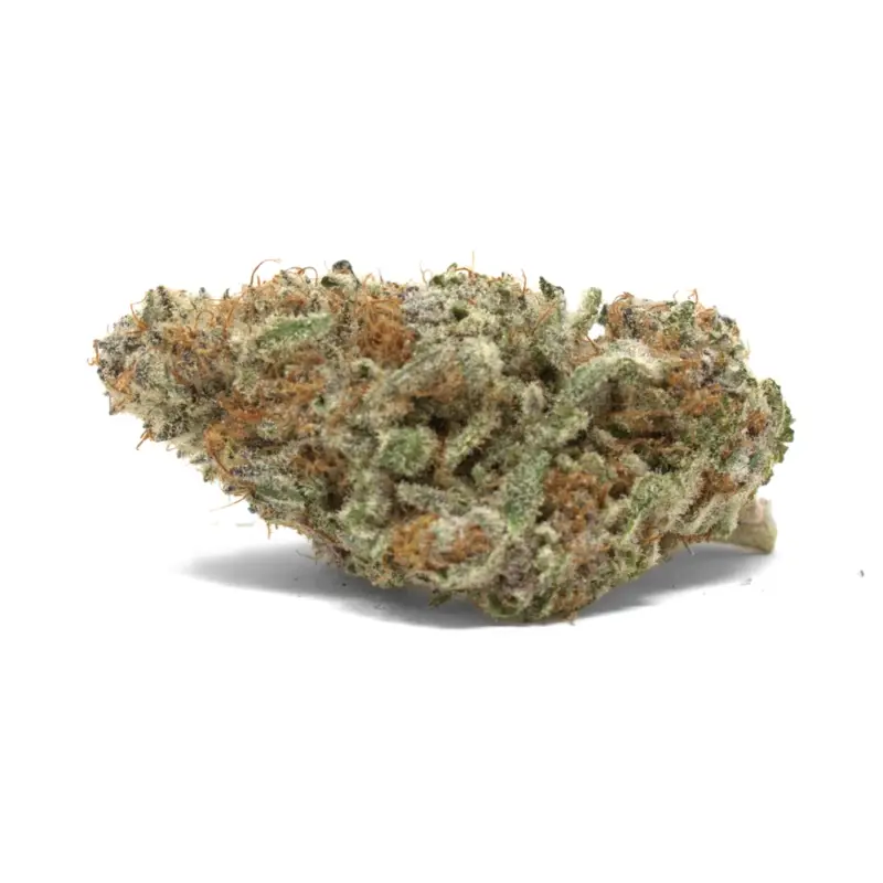 Strawberry Sherbet - Starbuds Halifax - shrooms halifax