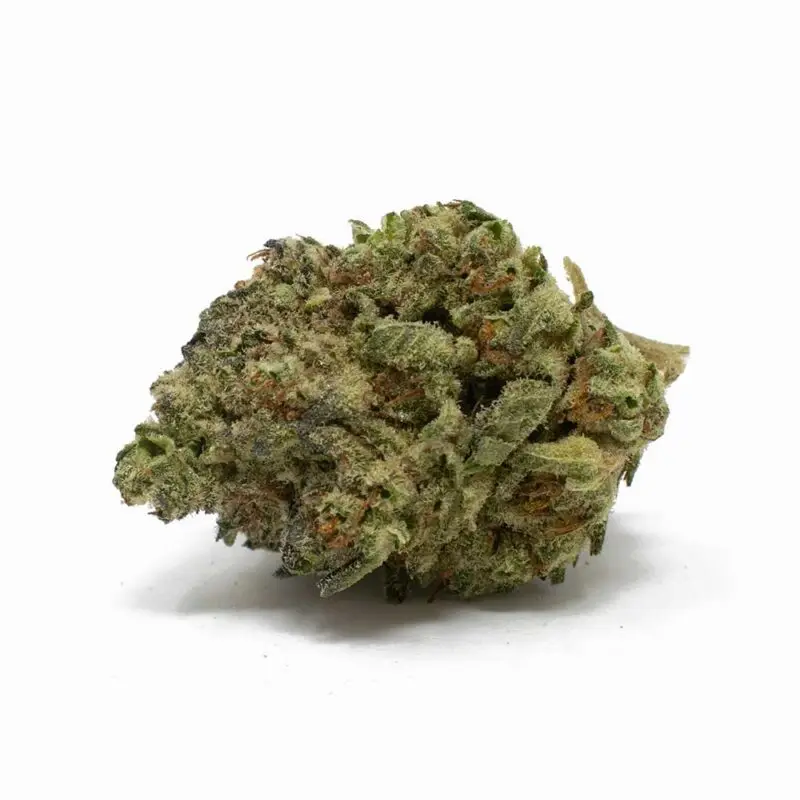 Cookie Monster - Starbuds Halifax - shrooms halifax