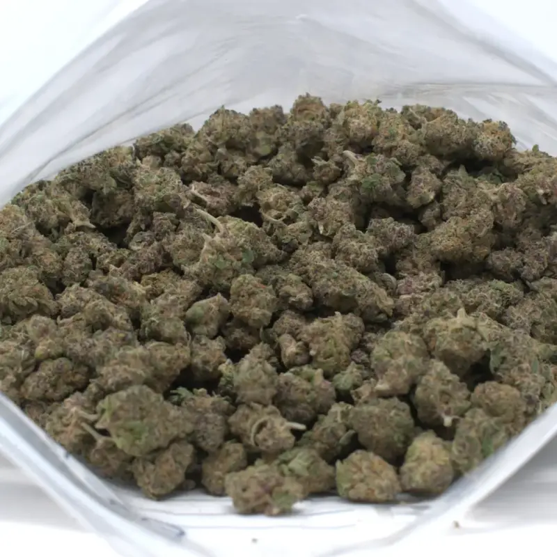 Do-Si-Dos - Starbuds Halifax - shrooms halifax