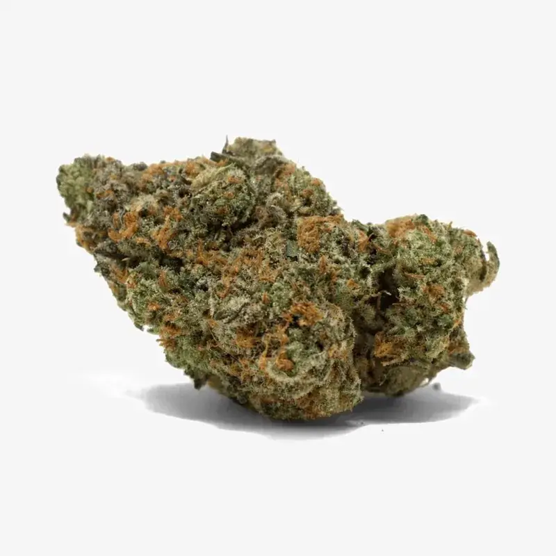 Cactus Breath - Starbuds Halifax - shrooms halifax