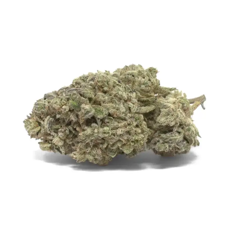 Khalifa Mints - Starbuds Halifax - shrooms halifax
