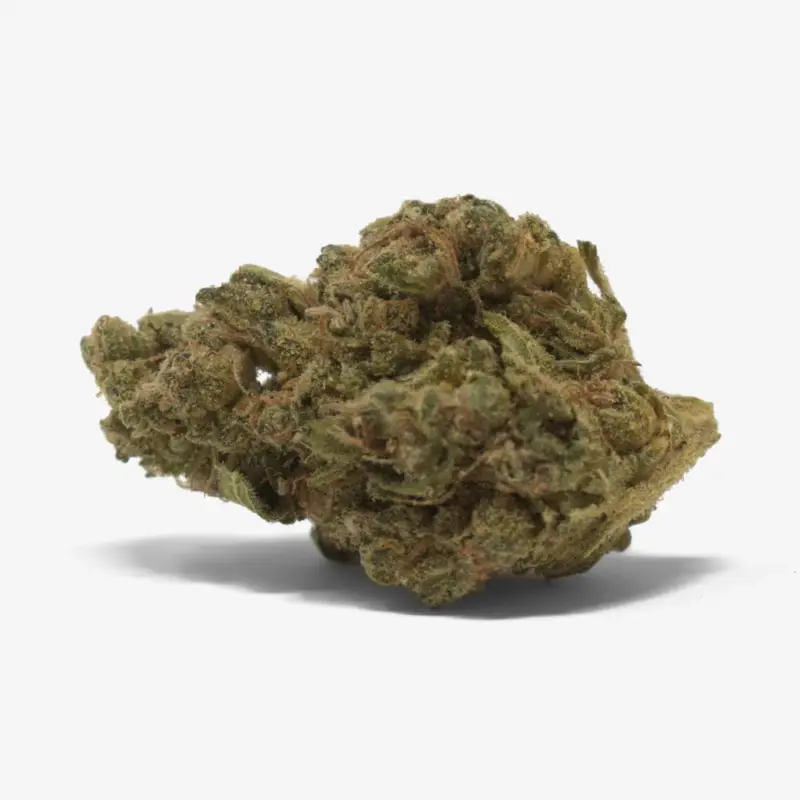 Banana Split - Starbuds Halifax - shrooms halifax