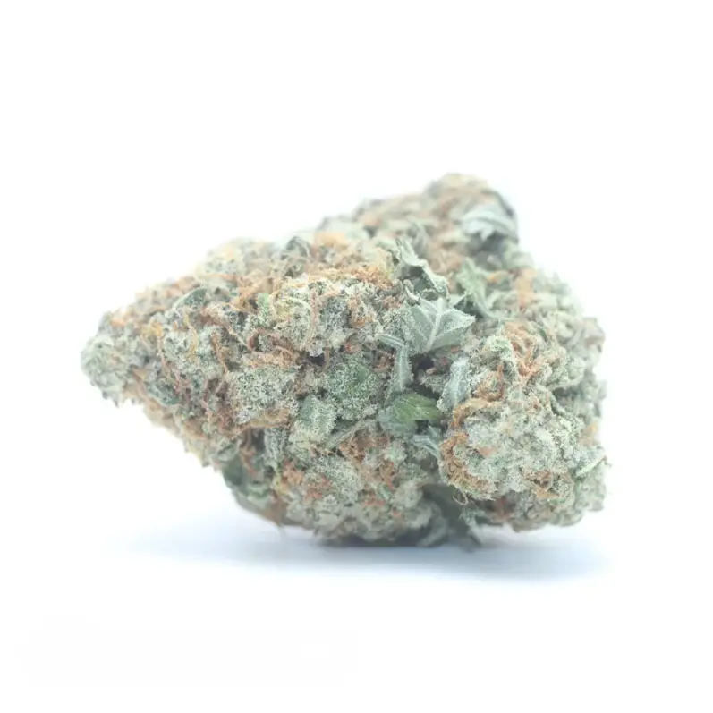 Double Bubble OG - Starbuds Halifax - shrooms halifax