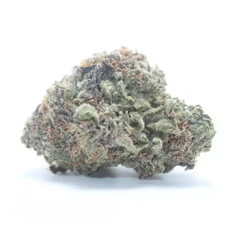Mimosa