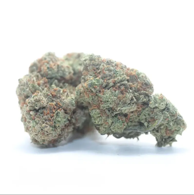 Fruit Loops - Starbuds Halifax - shrooms halifax