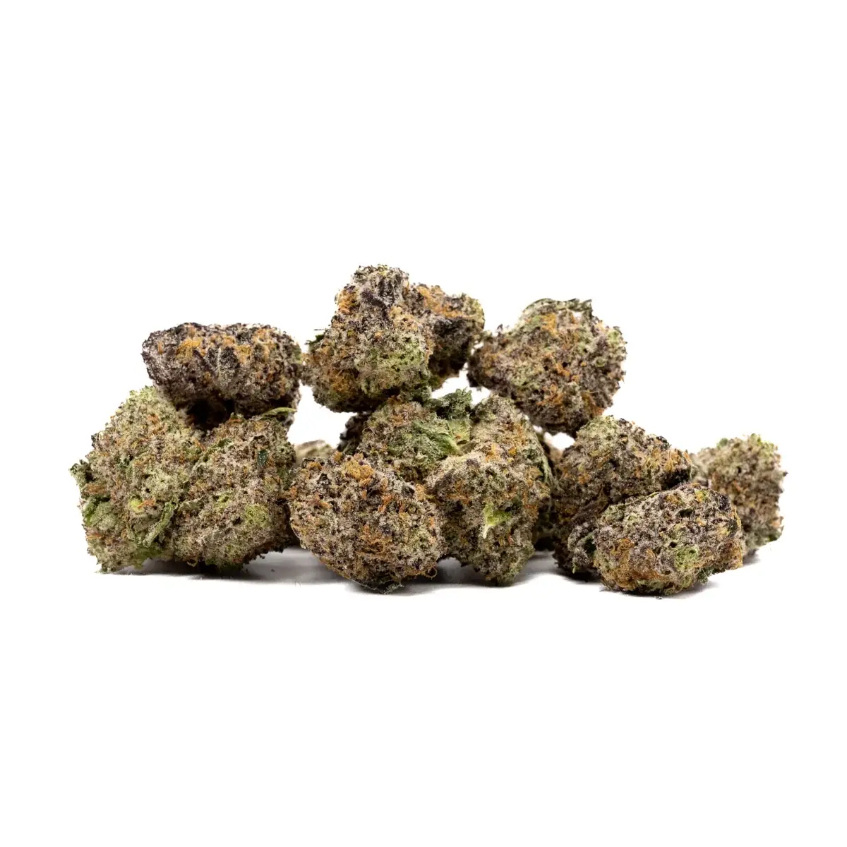 Blue Coyote - Starbuds Halifax - shrooms halifax