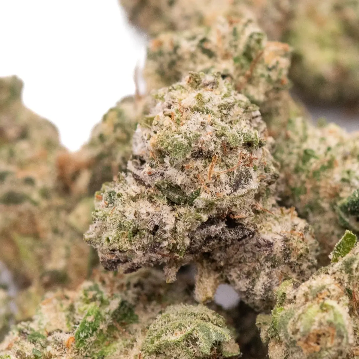Fruity Pebbles