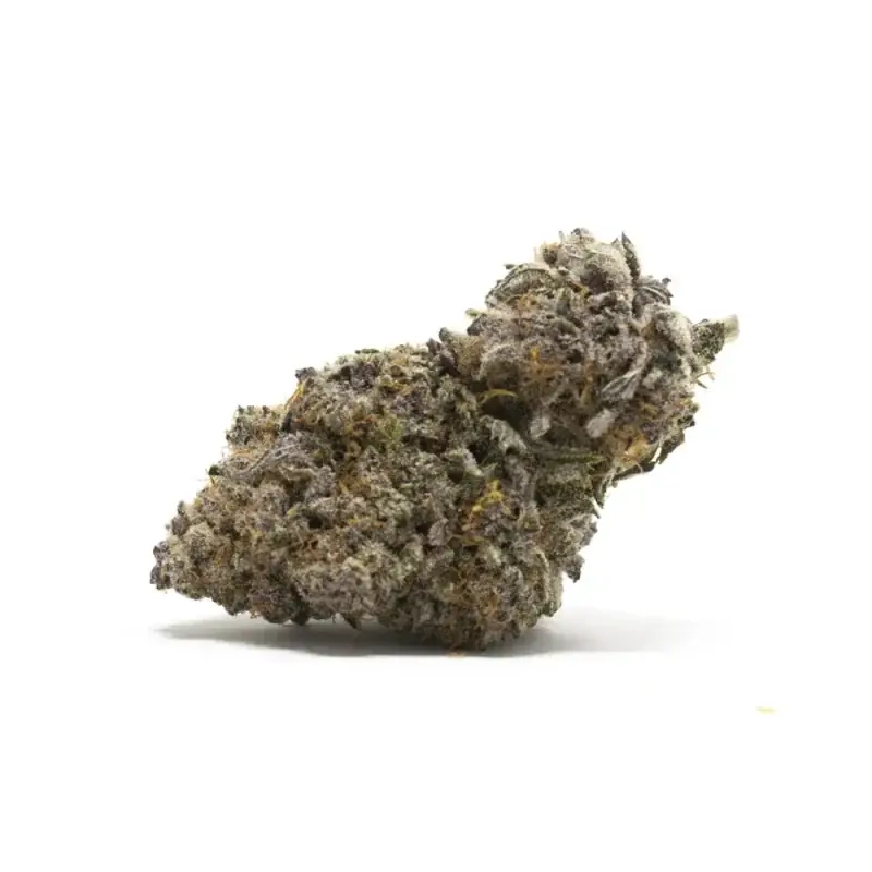 Cereal Milk - Starbuds Halifax - shrooms halifax
