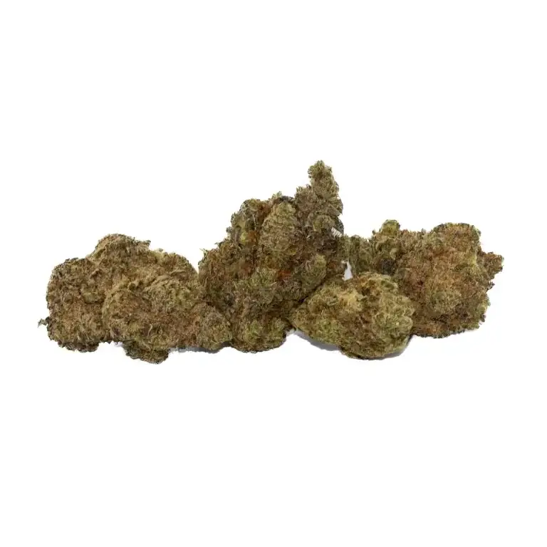 Legendary Larry - Starbuds Halifax - shrooms halifax